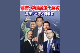 高盛：中国民企十巨头，科技+出海才有未来 #高盛研报 #研报 #民营企业 #民营十巨头 #民企十巨头视频封面