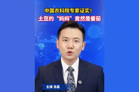 中国农科院专家证实！#土豆的妈妈竟然是番茄 ？ 还和茄子枸杞有“亲戚关系”！ #美丽主播说新闻