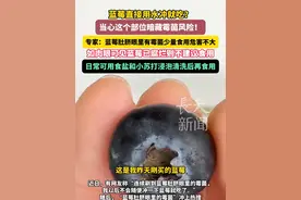 蓝莓直接用水冲就吃？当心这个部位暗藏霉菌风险！专家：蓝莓肚脐眼里有霉菌少量食用危害不大，如肉眼可见蓝莓已腐烂则不建议食用，日常可用食盐和小苏打浸泡清洗后再食用。#蓝莓 #肚脐眼 #莓菌 #腐烂