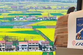 山区的朋友坐高铁经过湖北，被江汉平原一望无际的油菜花震撼到了，真的是一点山都没有啊#荆州 #潜江 #天门 #仙桃 #油菜花视频封面