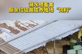 有深圳街坊爆料说，深汕合作区的餐厨垃圾处理企业，竟将每日收集的餐厨垃圾，转运至外市养殖场销售牟利。深汕特别合作区餐厨垃圾处理站负责人回应记者，冷链车和司机隶属公司总部养殖基地，并非属于处理站，按照总部交办事项，转运潲水的目的地是公司养殖场。根据相关法律规定，餐厨垃圾通常应就地就近处置，未经审批擅自跨区域收运属于违法行为。跨市运输餐厨垃圾必须经过城管、生态环境等相关主管部门审批监管，且接收地需具备相应处理能力。涉事深圳安芮洁环保科技有限公司并未向惠州市仲恺区相关主管部门提交转运申请报备，该行为涉嫌违规。深圳深汕特别合作区城管部门工作人员称，正对此次事件核实调查中。（广东台报道）视频封面