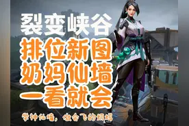 裂变峡谷奶妈贤者教学一看就会！无畏契约10.0新赛季天漠之峡