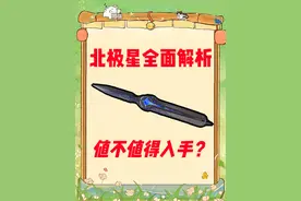 三角洲行动 最高伤害的刀皮 北极星全面解析~ #三角洲行动