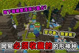 我的世界必备地形神种!繁茂洞穴霸占古城！坚守者原地失业！