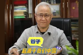 谷子起源于我们中国！#谷物 #来抖音学农技 #新农人计划