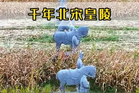 这里居然是已有千年历史的北宋皇陵，一座座雕像伫立在荒凉而又孤独的麦田中守护了千年。#旅行推荐官 #皇陵 #历史文物 #雕刻