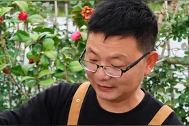 湖北传统名菜盘龙鳝你们会不会做？不去内脏直接下锅炒！麻辣鲜香，下酒又下饭！#跟着抖音学做菜 #湖北特色美食 #农村美食 #家乡特色