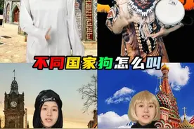 不同国家地方狗也有方言 #冷知识 #涨知识 #狗叫声 #奇葩