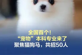 【全国首个“宠物”本科专业来了！】 全国首个“宠物”本科专业今年在中国农业大学设立，目前正在招生中。能光明正大“撸猫撸狗”还能拿本科学位？你心动了吗？#全国首个宠物本科专业来了