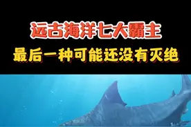 从寒武纪到新生代，盘点七大海洋霸主，最后一种可能还存在 #百度deepseek #科普 #知识分享 #海洋生物