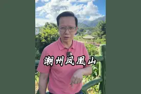 一公斤“100万”的凤凰单枞茶你们喝过吗？#潮汕 #茶 #潮州凤凰山 #乌岽村 #单枞茶视频封面