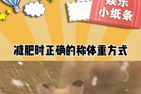 称体重原来也有这么多讲究啊！ #减肥 #减脂 #称体重 #娱乐评论大赏视频封面