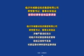 临沂东城建设投资集团有限公司原党委书记、董事长宋连运接受纪律审查和监察调查#临沂首发 #沂蒙清风视频封面