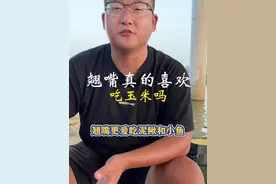 翘嘴到底喜欢吃玉米吗？ 翘嘴到底喜欢吃玉米吗？其实翘嘴对于玉米并不抵触，自然水体中的翘嘴也会摄食一些水生植物的嫩芽，但是相比于玉米，翘嘴一定更爱吃小鱼#钓鱼视频封面