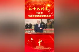 王旭东：交流互鉴铸就文化丰碑视频封面