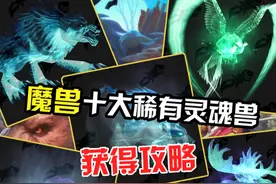 魔兽世界十大灵魂兽，你都有哪些？ #魔兽世界 #解放双手