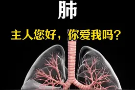 主人您好，我是肺！ #生命科学 #人体结构 #肺 #科普知识视频封面