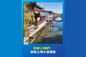 免签政策吸引了大量韩国游客，今天，就让就读于韩国高丽大学的中国学生，用韩语推荐一下#上海  七宝老街。（供稿：闵行区融媒体中心）视频封面