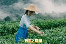 竹山县委副书记、县长王丽媛为竹山茶代言！（拍摄：王泽昆  张成  剪辑：王灵芝）#我为家乡代言 #茶文化 #湖北竹山短视频视频封面