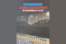 已购买停运列车车票的旅客，可通过12306网站或手机APP直接办理退票；停运列车停运信息公布前购买的联程车票，可在联程车票开车前一并办理退票，均不收取退票费。#广东暴雨 #列车停运 #南铁 #京九铁路视频封面