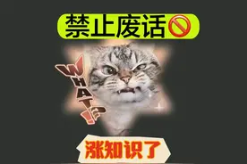 禁止废话：鸡的智商有多高？涨知识了#知识 #知识分享视频封面