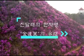 “金达莱”中文名的由来： 后(金)国的(达)子来(莱)犯视频封面