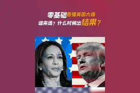 零基础看懂美国大选，谁来选？什么时候出结果？ #美国大选 #特朗普 #哈里斯