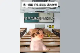 当中国留学生混进汉语选修课试图混学分时 中国留学生选修中文#猫meme #搞笑 #看一次笑一次 #万万没想到 #留学生视频封面