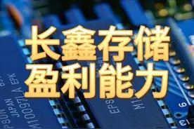 长鑫存储，盈利最强的10家企业 #长鑫存储 #盈利能力视频封面