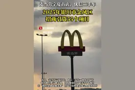 宁夏第一家麦当劳将开在银川市金凤区！麦当劳宁夏首店、优信二手车签约落户！今年银川市金凤区已招商引资55个项目！#银川  #宁夏  #麦当劳  #首店视频封面