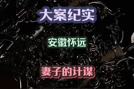 安徽怀远，妻子的计谋 #大案纪实 #案件故事 #真实案件 #刑侦剧视频封面