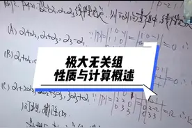 温田丁老师考研数学（9429） 极大无关组性质与计算概述#特别重要