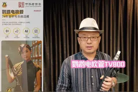 鹦鹉电吹管TV800 国产大厂，老品牌，鹦鹉电吹管TV800，来看看。视频封面