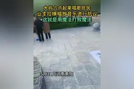 河南南阳，大妈六点起来唱歌扰民，业主拉横幅放音乐进行抗议，这就是用魔法打败魔法（来源：零点.雨泽）#社会百态 #扰民 #大妈视频封面