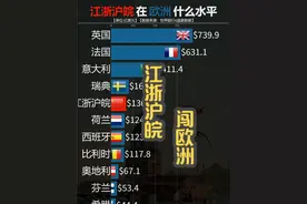 中国长三角经济有多强！看江浙沪皖三省一市勇闯欧洲！ #经济 #财经 #长三角 #欧洲 #浙江视频封面