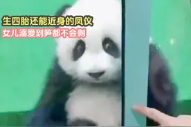 生四胎还能近身的凤仪，女儿溺爱到笋都不会剥，浑身上下白到发光视频封面