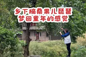 带霍麻海螺去乡下摘果子 在这里又有回到小时候的感觉了，我们拼尽一生都在追求无忧无虑的生活，可是这些我们一开始就有了啊。#朝花夕拾 #田间地头 #回到童年的感觉 #回国vlog @薇子家的小海螺视频封面