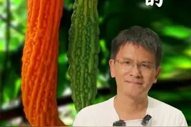 成年后才知道，熟苦瓜居然是甜的  #苦瓜 #真相 #科普 #知识分享视频封面