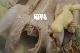 清炖麻鸭 麻鸭的味道很鲜，用它清炖汤太好了。#鸭子肉 #鸭汤 #好吃不贵经济实惠 #抖音美食推荐官视频封面