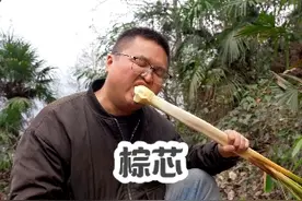 棕芯，藏在大山里的美味，你吃过吗？ 很多朋友都说棕芯是苦的不好吃，但是这个季节我们大山里面的棕芯，味道真的非常美味#棕芯 #棕榈树 #大山里的味道视频封面