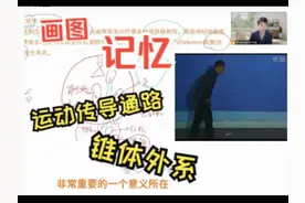 画图记忆运动传导通路-锥体外系 #医学 #知识 #学习