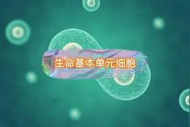 生命基本单元细胞
细胞是生物体基本的结构和功能单位视频封面