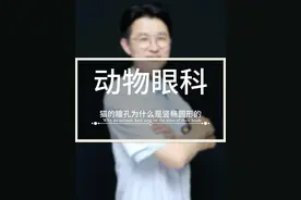 猫的瞳孔为什么是竖椭圆形的？#医学科普 #干货分享 #希望这个视频对大家有所帮助 #健康守护计划 #国广健康