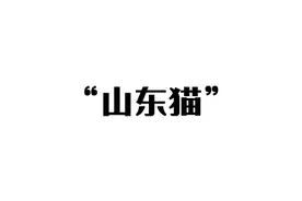 “山东猫”驰骋俄乌战场，乌克兰急了 #热点新闻事件 #俄乌冲突视频封面
