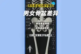 #骨盆 #骨盆修复 骨盆在组成全身骨骼中，是男女差异最突出的部位。男性骨盆狭窄，女性骨盆较宽。更多详细对比内容欢迎移步【维萨里3D解剖aapp】#人体结构 #维萨里3d解剖视频封面