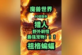 魔兽世界60级猎人野外刷怪最强宝宝---祖格蝙蝠 #魔兽世界 #魔兽世界怀旧服