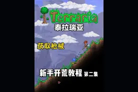 第二集：开局的挖矿发育，获取枪械 #泰拉瑞亚