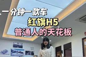 红旗H5，不到二十万选双色车身，销量超过比亚迪是有原因的！