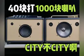 40块国产PK1000块哈曼卡顿拆车喇叭 #自制音箱 #哈曼卡顿