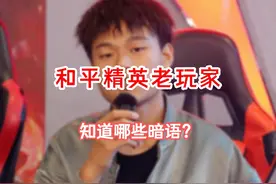 和平精英有哪些只有老玩家才知道的暗语？#电竞 #和平精英 #吃鸡 #游戏
